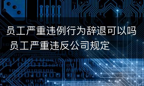 员工严重违例行为辞退可以吗 员工严重违反公司规定
