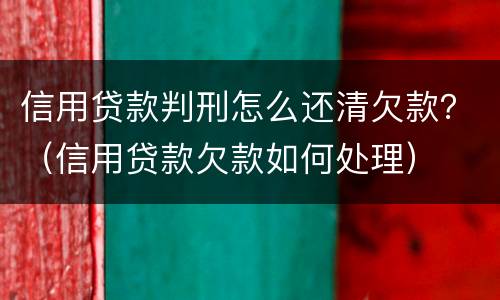 信用贷款判刑怎么还清欠款？（信用贷款欠款如何处理）