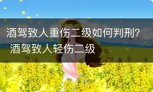 酒驾致人重伤二级如何判刑？ 酒驾致人轻伤二级