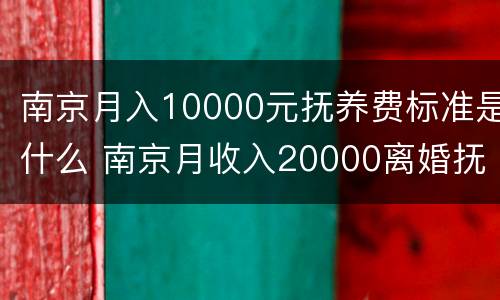 南京月入10000元抚养费标准是什么 南京月收入20000离婚抚养费