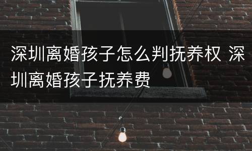 深圳离婚孩子怎么判抚养权 深圳离婚孩子抚养费