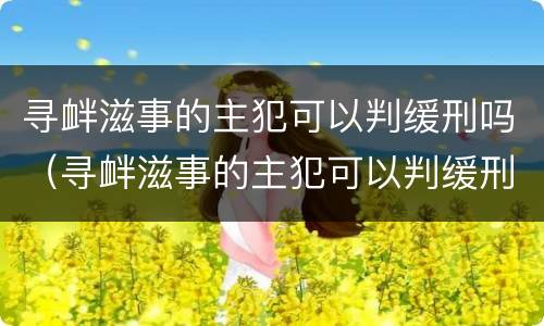 寻衅滋事的主犯可以判缓刑吗（寻衅滋事的主犯可以判缓刑吗）