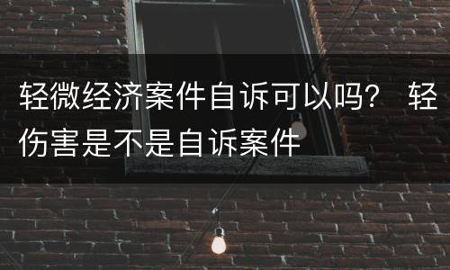 轻微经济案件自诉可以吗？ 轻伤害是不是自诉案件