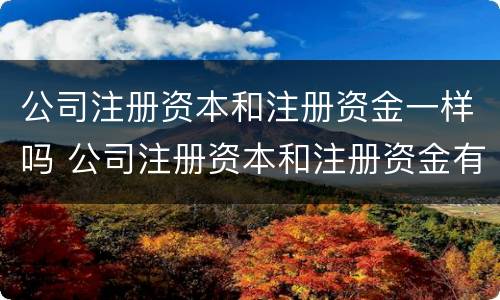 公司注册资本和注册资金一样吗 公司注册资本和注册资金有什么区别