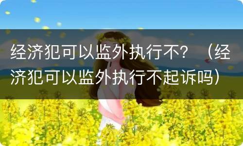 经济犯可以监外执行不？（经济犯可以监外执行不起诉吗）