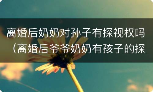 离婚后奶奶对孙子有探视权吗（离婚后爷爷奶奶有孩子的探视权吗）