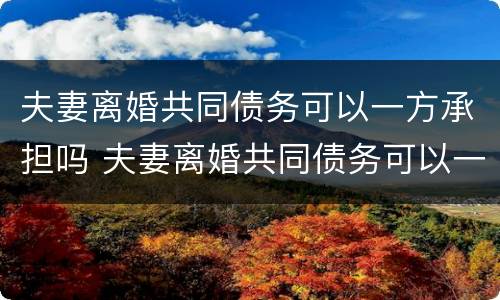 夫妻离婚共同债务可以一方承担吗 夫妻离婚共同债务可以一方承担吗