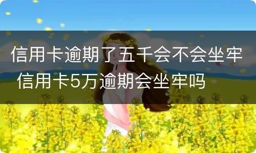 信用卡逾期了五千会不会坐牢 信用卡5万逾期会坐牢吗