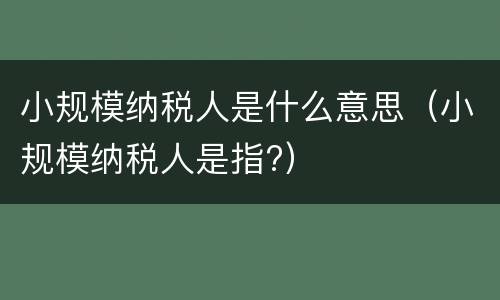 小规模纳税人是什么意思（小规模纳税人是指?）
