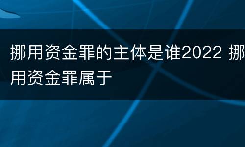 挪用资金罪的主体是谁2022 挪用资金罪属于