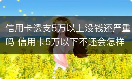 信用卡透支5万以上没钱还严重吗 信用卡5万以下不还会怎样