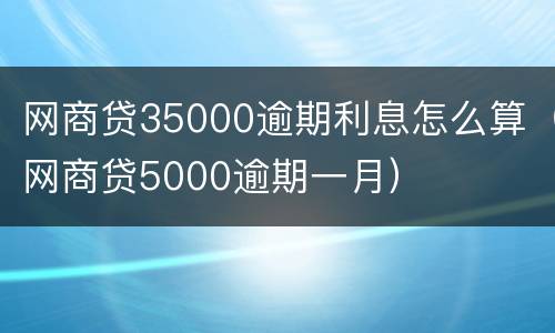 网商贷35000逾期利息怎么算（网商贷5000逾期一月）