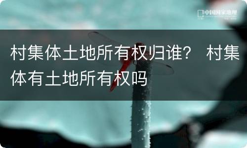 村集体土地所有权归谁？ 村集体有土地所有权吗