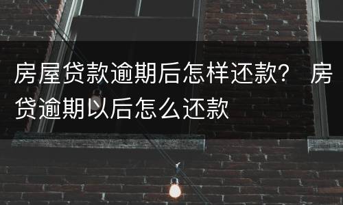 房屋贷款逾期后怎样还款？ 房贷逾期以后怎么还款