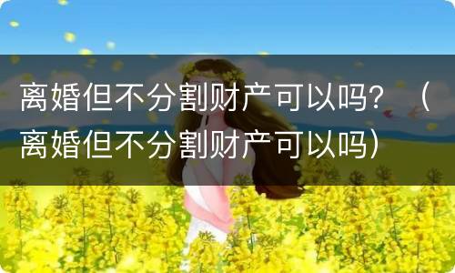 离婚但不分割财产可以吗？（离婚但不分割财产可以吗）