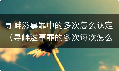 寻衅滋事罪中的多次怎么认定（寻衅滋事罪的多次每次怎么认定）