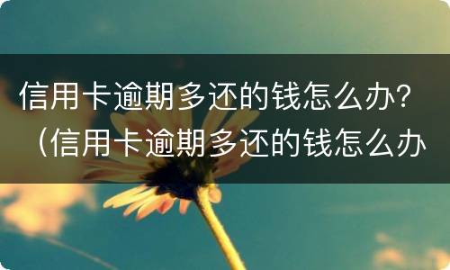 信用卡逾期多还的钱怎么办？（信用卡逾期多还的钱怎么办理）