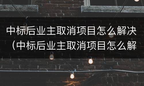 中标后业主取消项目怎么解决（中标后业主取消项目怎么解决呢）