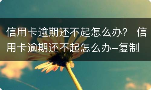 信用卡逾期还不起怎么办？ 信用卡逾期还不起怎么办-复制