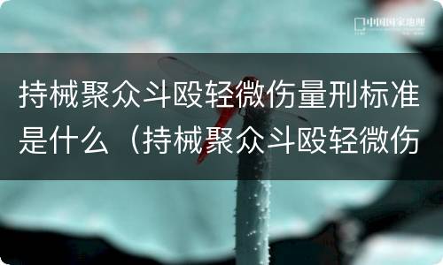持械聚众斗殴轻微伤量刑标准是什么（持械聚众斗殴轻微伤量刑标准是什么）