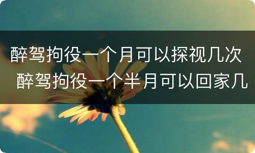 醉驾拘役一个月可以探视几次 醉驾拘役一个半月可以回家几次