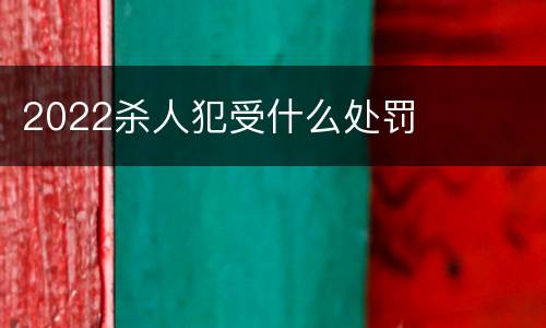 2022杀人犯受什么处罚