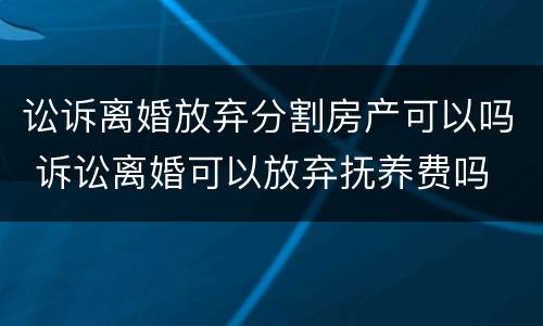 讼诉离婚放弃分割房产可以吗 诉讼离婚可以放弃抚养费吗