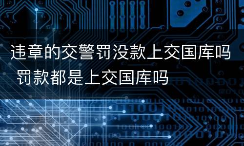 违章的交警罚没款上交国库吗 罚款都是上交国库吗