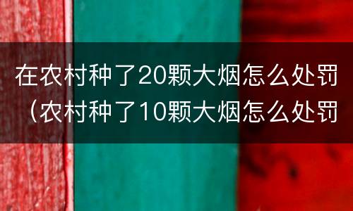 在农村种了20颗大烟怎么处罚（农村种了10颗大烟怎么处罚）