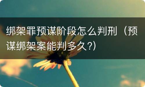 绑架罪预谋阶段怎么判刑（预谋绑架案能判多久?）