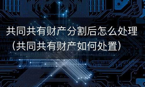 共同共有财产分割后怎么处理（共同共有财产如何处置）