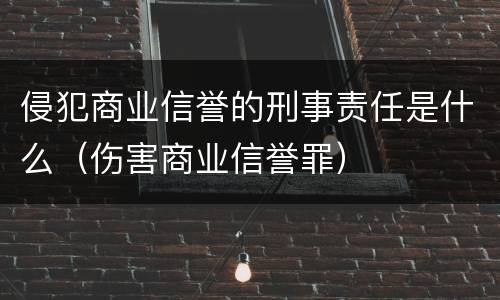 侵犯商业信誉的刑事责任是什么（伤害商业信誉罪）
