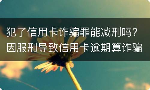 犯了信用卡诈骗罪能减刑吗? 因服刑导致信用卡逾期算诈骗罪吗