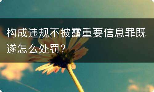 构成违规不披露重要信息罪既遂怎么处罚?