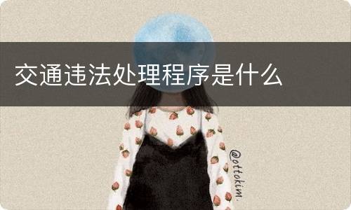 交通违法处理程序是什么