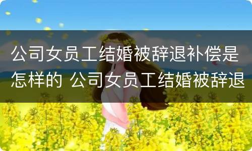 公司女员工结婚被辞退补偿是怎样的 公司女员工结婚被辞退补偿是怎样的程序