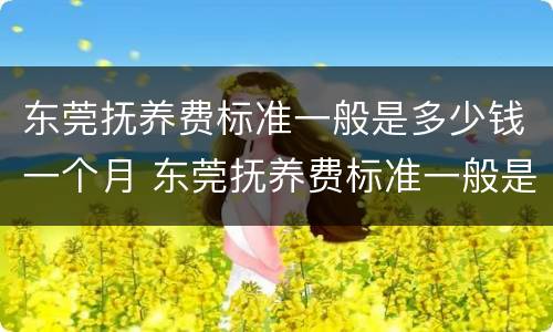 东莞抚养费标准一般是多少钱一个月 东莞抚养费标准一般是多少钱一个月呢