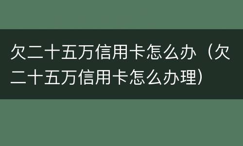 欠二十五万信用卡怎么办（欠二十五万信用卡怎么办理）