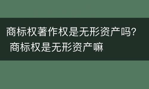 商标权著作权是无形资产吗？ 商标权是无形资产嘛