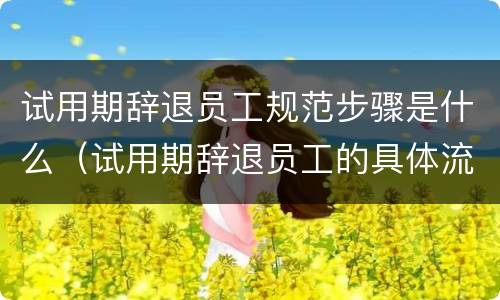 试用期辞退员工规范步骤是什么（试用期辞退员工的具体流程）