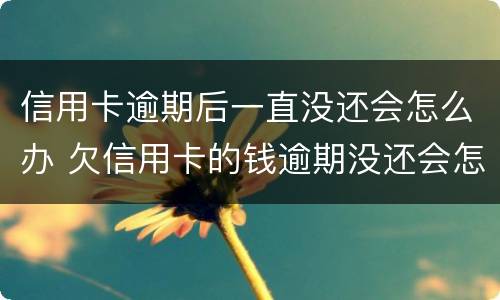 信用卡逾期后一直没还会怎么办 欠信用卡的钱逾期没还会怎么样