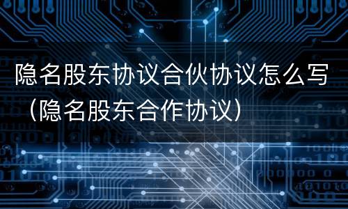 隐名股东协议合伙协议怎么写（隐名股东合作协议）
