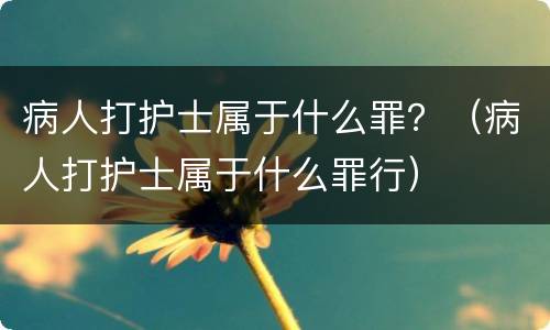 病人打护士属于什么罪？（病人打护士属于什么罪行）