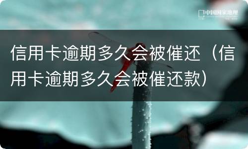 信用卡逾期多久会被催还（信用卡逾期多久会被催还款）