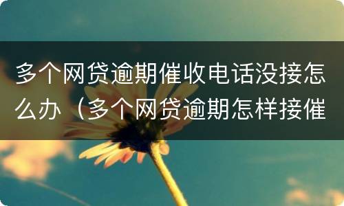 多个网贷逾期催收电话没接怎么办（多个网贷逾期怎样接催收电话）