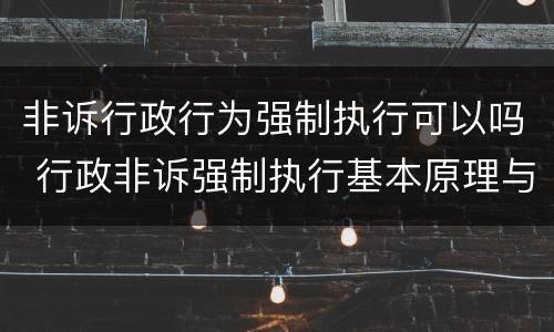 非诉行政行为强制执行可以吗 行政非诉强制执行基本原理与实务操作