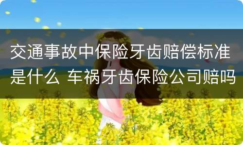 交通事故中保险牙齿赔偿标准是什么 车祸牙齿保险公司赔吗
