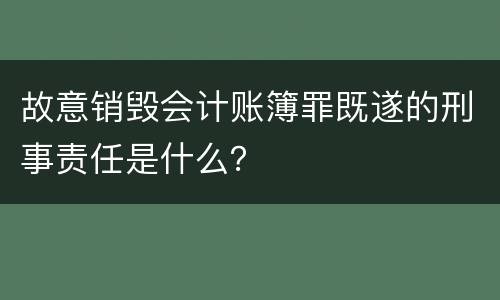故意销毁会计账簿罪既遂的刑事责任是什么？