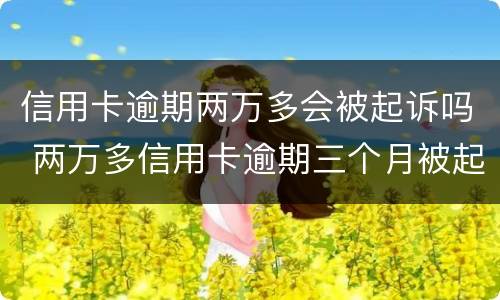 信用卡逾期两万多会被起诉吗 两万多信用卡逾期三个月被起诉怎么办