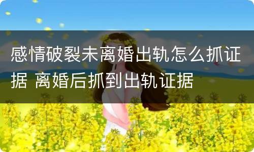 感情破裂未离婚出轨怎么抓证据 离婚后抓到出轨证据